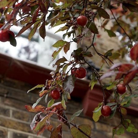 Luxury London Garden Home Sleep 7, 2 Mins To Metro Exterior photo